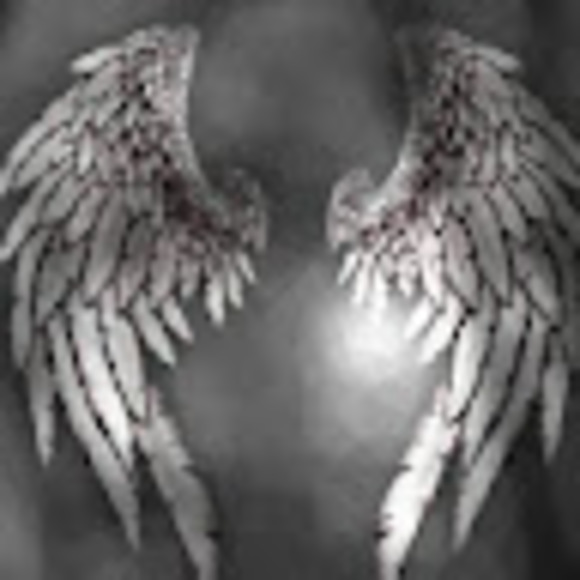 feenixdreams04